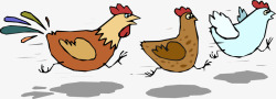 母鸡和公鸡奔跑的鸡高清图片