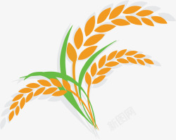 丰收麦子卡通稻谷图标高清图片
