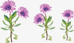 紫色色淡雅春天花朵素材