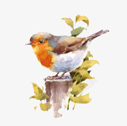 艺术创作水彩绘画小鸟高清图片