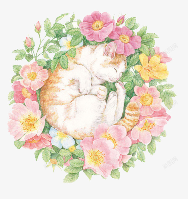 花png免抠素材_88icon https://88icon.com 动物 手绘 植物 清新 猫 花 鲜花