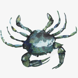 螃蟹水彩画片素材