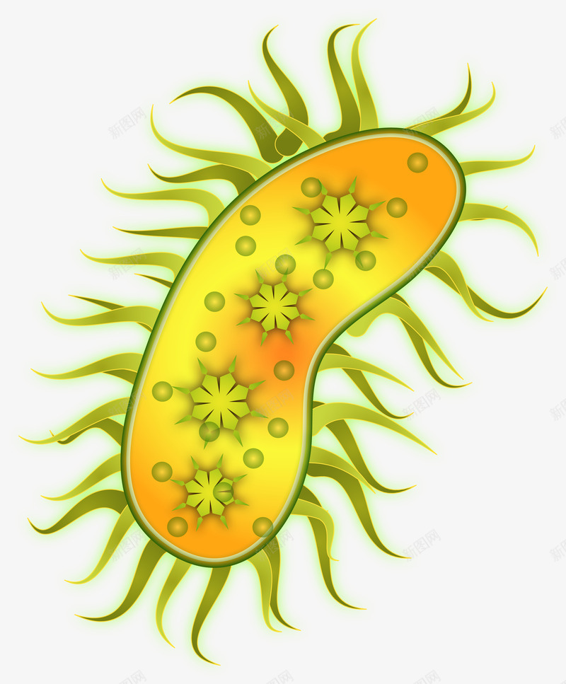 细胞分裂png免抠素材_88icon https://88icon.com 显微镜 生物医疗 生物学 生物研究 真菌 细胞 细胞高清大图 细菌 蛋白质细胞