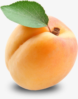 水果杏子黄色杏子实物高清图片