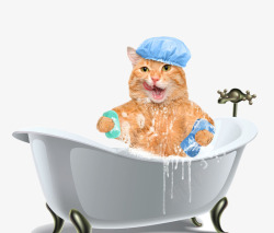 趴在浴缸边浴缸中泡澡的猫咪高清图片