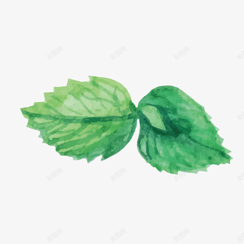 绿色水墨植物元素矢量图ai免抠素材_88icon https://88icon.com 图案 植物 水墨 环境 纹理 绿色 自然 艺术 装饰 矢量图