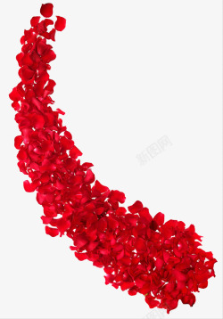 红色玫瑰花瓣摆放素材