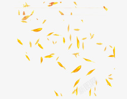 金色树叶漂浮素材