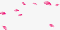 飘散飞舞的粉色花瓣素材