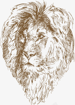 狮子素描素描棕色狮子高清图片