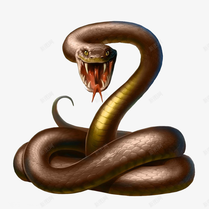 张大嘴蛇png免抠素材_88icon https://88icon.com 3D 动物 卡通 棕色 毒蛇 盘卧的蛇 蛇免抠素材