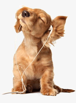 听音乐png免抠素材_88icon https://88icon.com 享受 狗 痴迷