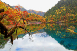 秋季自然景观秋游九寨沟高清图片