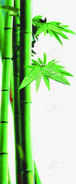 绿色竹子水滴竹叶素材