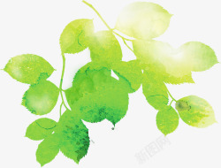 手绘绿色春季水彩树叶装饰素材