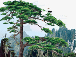 松树剪影手绘松树矢量图高清图片