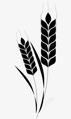 小麦庄稼小麦简图图标高清图片