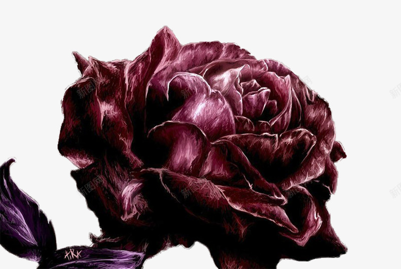 暗夜玫瑰png免抠素材_88icon https://88icon.com 暗色 浪漫 玫瑰 画