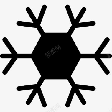 冬天Snowflake图标图标