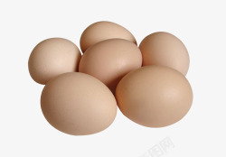 P图标透明底的鸡蛋高清图片