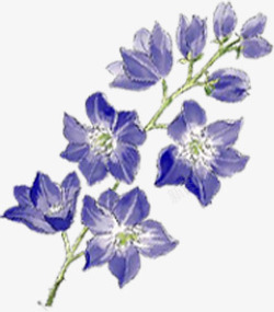 蓝色手绘花朵美景春季素材