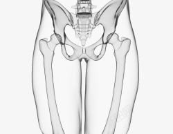 X射线骨X光骨盆插图高清图片