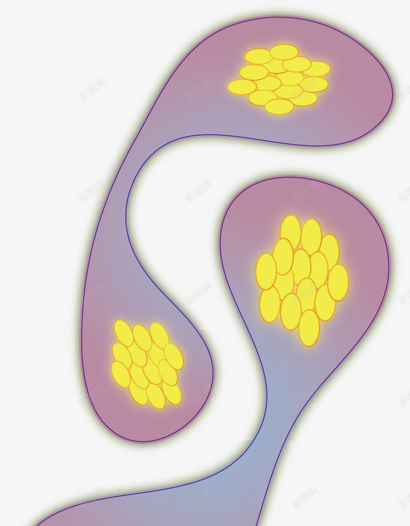 紫色细胞结构矢量图ai免抠素材_88icon https://88icon.com 创意 卡通 微生物 手绘 水彩 淋巴 生物结构 紫色 细胞 细胞结构 结构细胞 设计 矢量图
