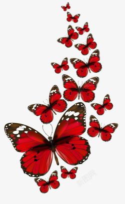 美丽的蝴蝶装饰元素素材