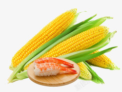 玉米和龙虾素材