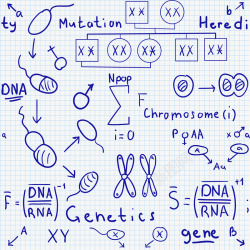 生物课程生物公式高清图片