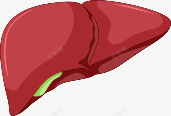 器官卡通红色鲜活心脏图图标图标