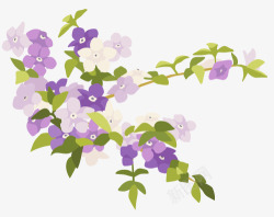 清新淡雅花朵绽放紫色白色粉色素材