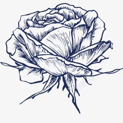 手绘蓝色玫瑰花朵素材