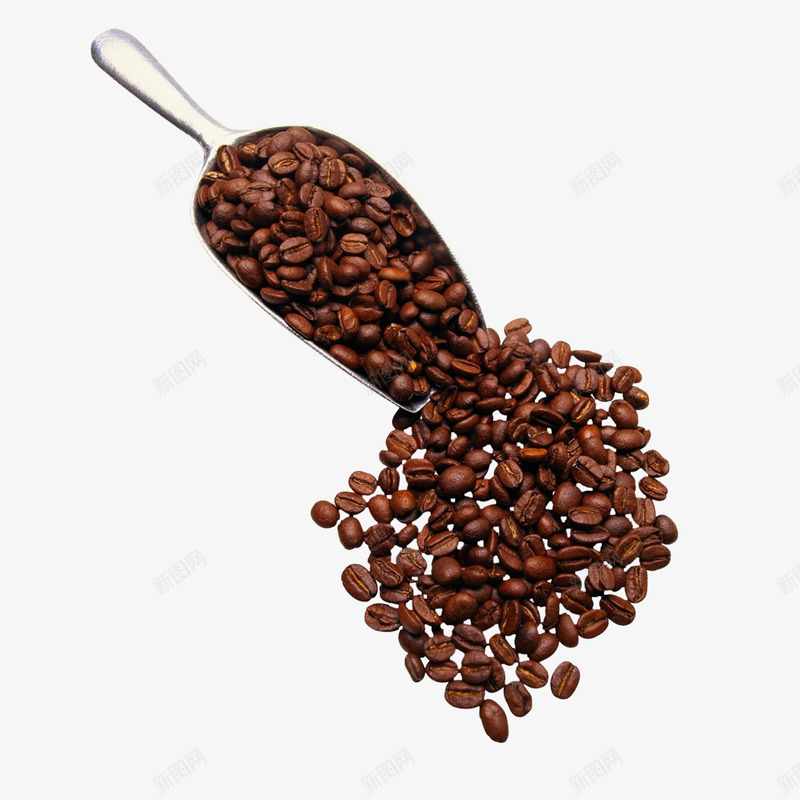 散落咖啡豆png免抠素材_88icon https://88icon.com 五谷杂粮 健康 品味生活 粮食 褐色