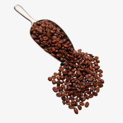 散落咖啡豆素材