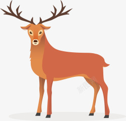 冬天动物森林里冬天的驯鹿矢量图高清图片