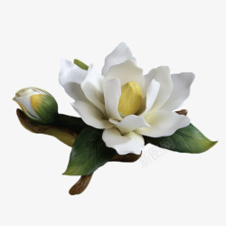 一朵山茶花素材