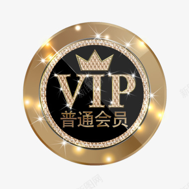 钻石字母普通会员VIP图标图标