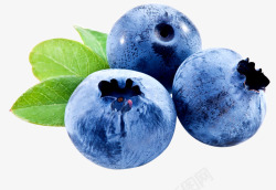 黑莓水果蓝莓高清图片