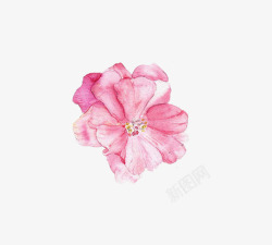涂鸦植物花朵粉色效果素材