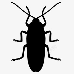 蟑螂蟑螂剪影高清图片
