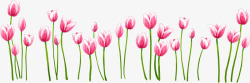 手绘粉色春季花朵插图素材