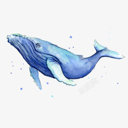 手绘一只蓝色水彩座头鲸热带生物素材