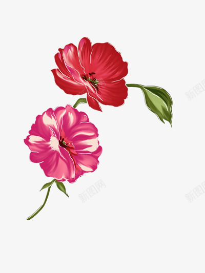 手绘花png免抠素材_88icon https://88icon.com 手绘 手绘花 水彩画 水彩花 水彩花免抠图片 水彩花矢量 粉花 红花 花朵