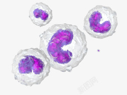 医疗教学细胞科学形象图示高清图片