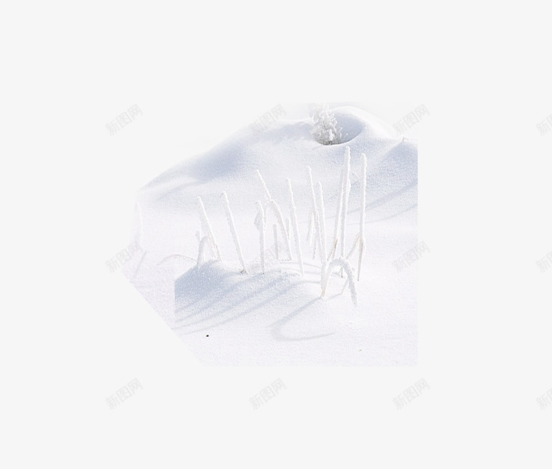 雪地风景图png免抠素材_88icon https://88icon.com 冬天 立冬 雪地