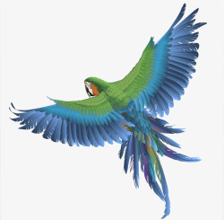 站枝头的鸟类手绘唯美鸟类图案高清图片