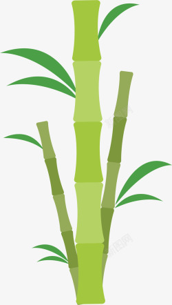 绿色美容会馆竹子素材