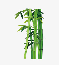 企业5S背景绿色的竹子高清图片