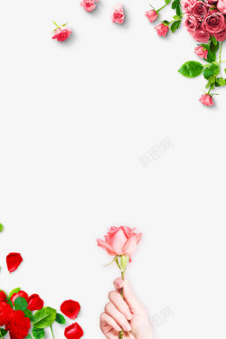 38妇女节主题玫瑰创意边框素材